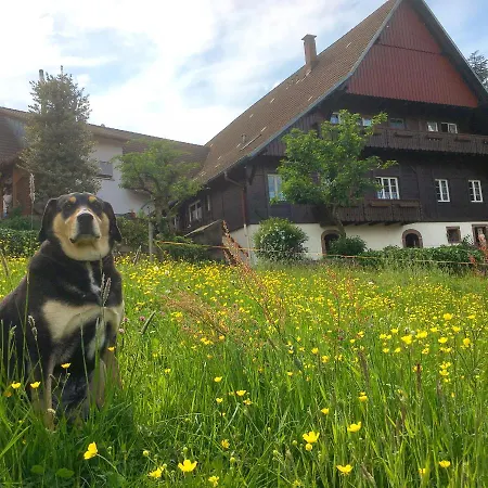 Fiegenhof Apartment Oberkirch (Baden)