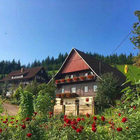 Apartment Fiegenhof Oberkirch (Baden)