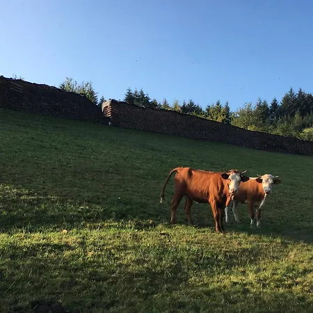 Apartment Fiegenhof *